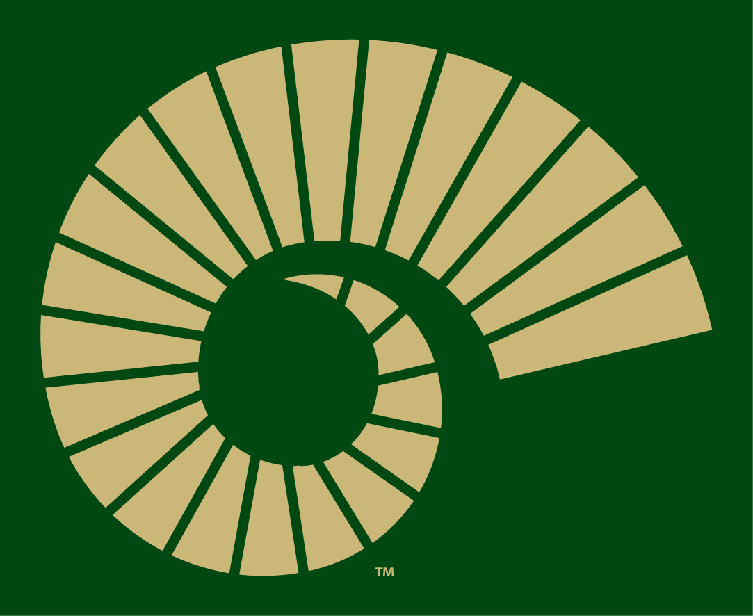 Colorado State Rams 2015-Pres Alternate Logo v4 diy DTF decal sticker